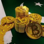 How did Pakistan’s crypto-cone system come about and how successful has the country proven to be?
