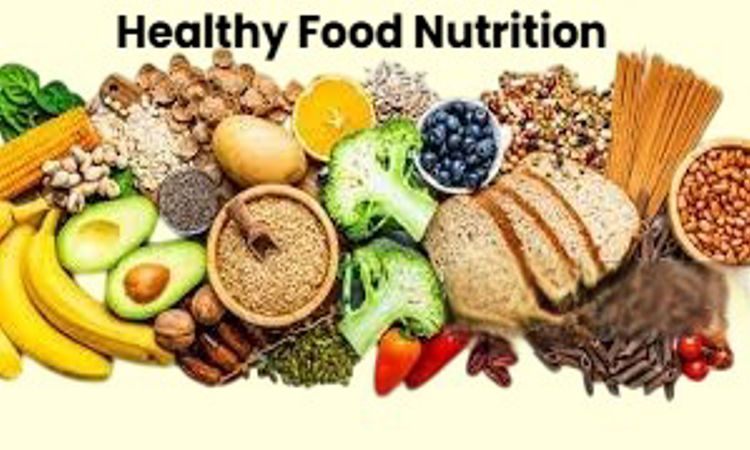 Foods That Support Weight Loss