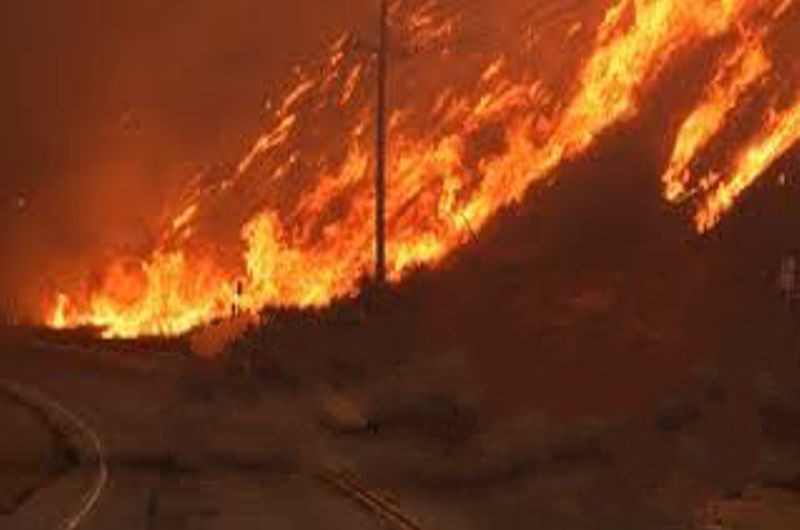 How AI Can Help Humans Battle Wildfires: The Smart Firefighting Revolution
