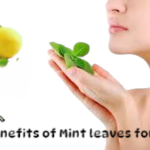 7 Benefits of Mint Leaves