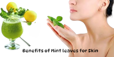 7 Benefits of Mint Leaves