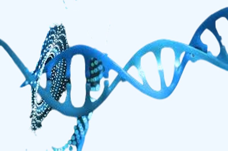 Unlocking Life’s Blueprint: The Power and Potential of Genomic DNA