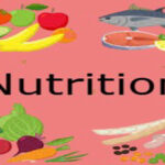 Men Nutrition Need