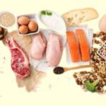 This important source of protein is essential for building and maintaining muscle mass.