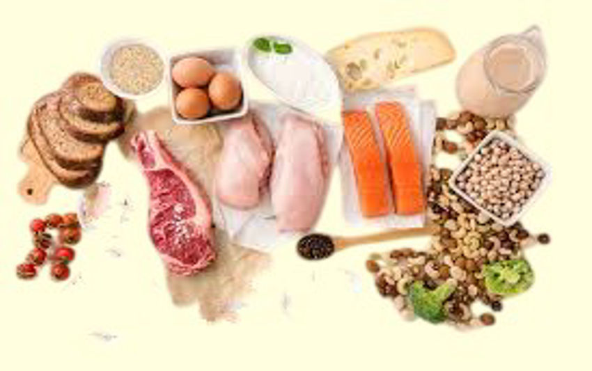 This important source of protein is essential for building and maintaining muscle mass.