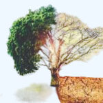 Breathe Pakistan: Addressing Climate Change & Mobilizing Finance.
