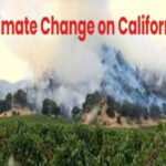 The Impact of Climate Change on California.