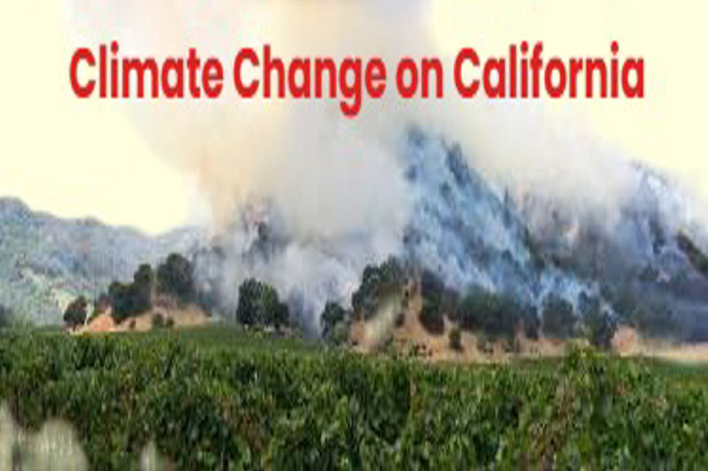 The Impact of Climate Change on California.