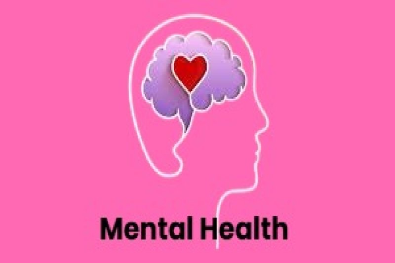 Mental health as a public health issue.