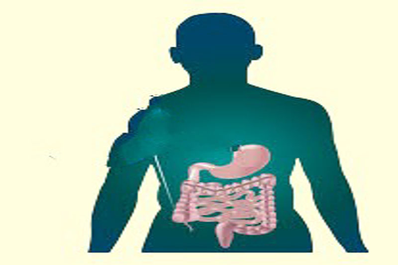 The Gut Micro biome and Its Impact on Overall Health: A Complete Guide.