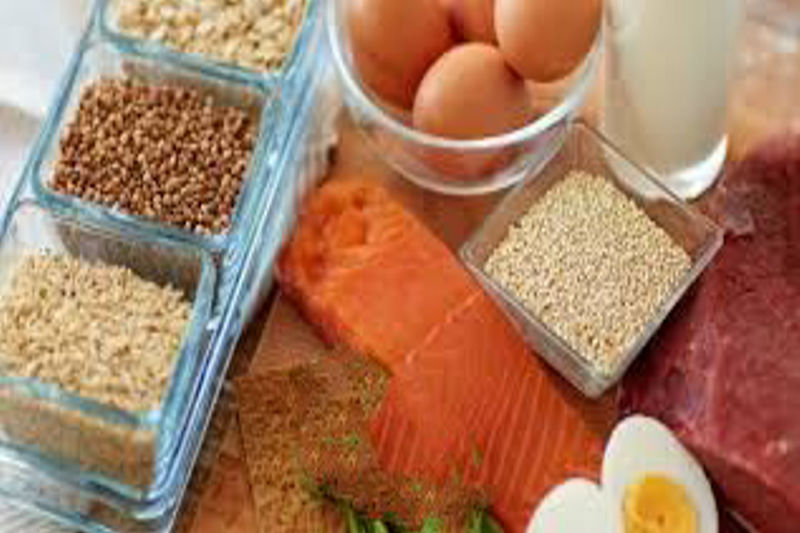 How Protein Can Help You Lose Weight Naturally.