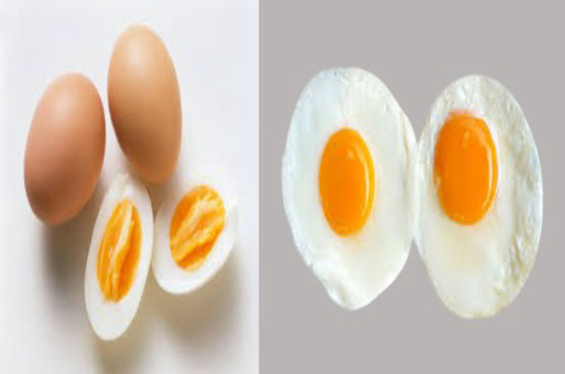 Eating 2 Eggs Daily Good or Bad.